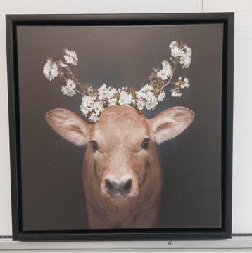 Sebastian Wehrle (1984) - Daisy, Glottertal