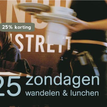 25 ZONDAGEN WANDELEN LUNCHEN 9789057672095 E. Brik, Verzenden, Zo goed als nieuw, E. Brik