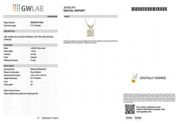 Zonder minimumprijs - Ketting met hanger - 14 karaat Geel