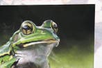 André Rios - Green Frogscape, Antiek en Kunst