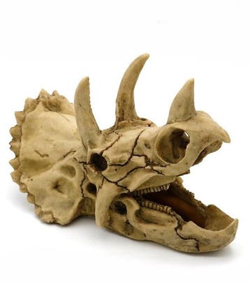 Prehistorische schedel / aquarium decoratie  18 cm As-218, Animaux & Accessoires, Verzenden, Gevuld zeewateraquarium