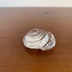 Swarovski - Beeldje - Swarovski Crystal Top Shell Figurine —