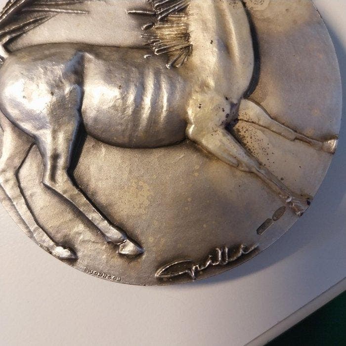 Italië. Medal 1980. Sisal Totip. Sport Italia Testa della, Postzegels en Munten, Munten | Europa | Niet-Euromunten