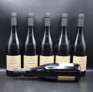 2020 Poderi Vaiot, Barbera dAlba Lupestre - Piedmont DOC,, Nieuw
