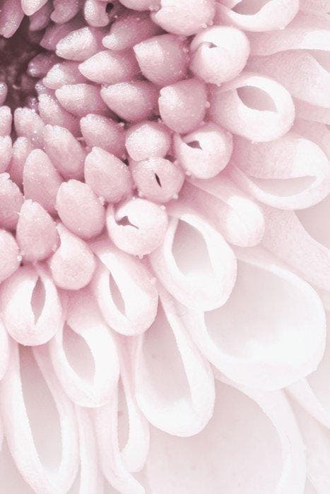 Inna Etuvgi - Echoes, Antiek en Kunst, Kunst | Designobjecten