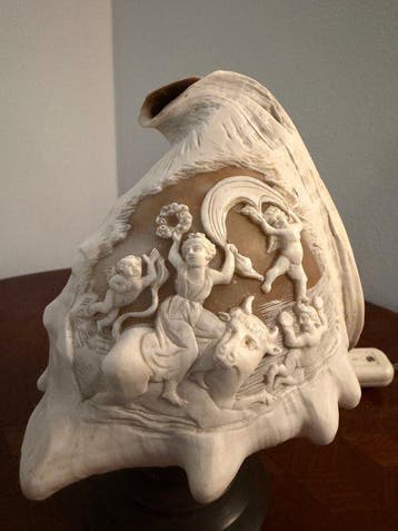 Tafellamp - Schildpadschild - Lamp in schelp