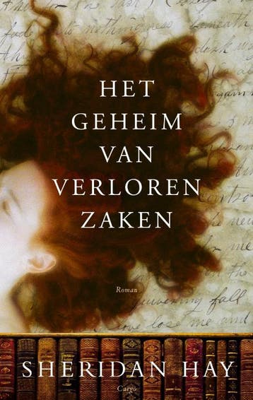 Het geheim van verloren zaken 9789023422822 S. Hay, Boeken, Verzenden, Zo goed als nieuw, S. Hay