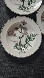 Villeroy & Boch - Assiette à dîner (6) - Botanica -, Antiquités & Art