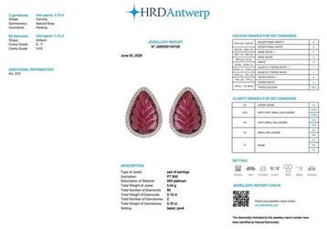 Boucles doreilles cloutées Platine - 5.86ct. tw. Rubis -