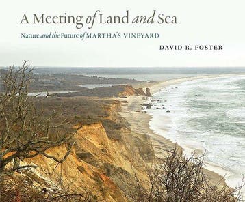 A Meeting of Land and Sea 9780300214178 David R. Foster, Boeken, Verzenden, Zo goed als nieuw, David R. Foster