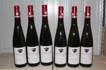 2022 Schloss Lieser Terroir Kiste Grosse Gewächse - Moezel