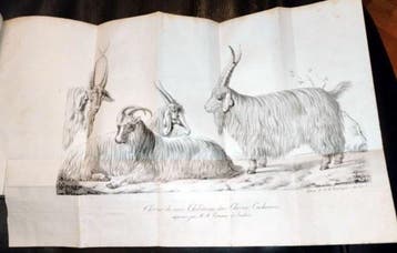Tessier, Albert - Notice pour faire suite au me´moire sur, Antiquités & Art