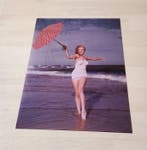 Andre de Dienes (1913-1985) - Marilyn Monroe, Tobey Beach -, Antiquités & Art