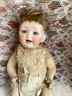 Hertel,Schwab&Co - Pop Antieke Duitse karakterpop