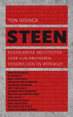 Steen 9789025366933 Ton Idsinga, Verzenden, Gelezen, Ton Idsinga