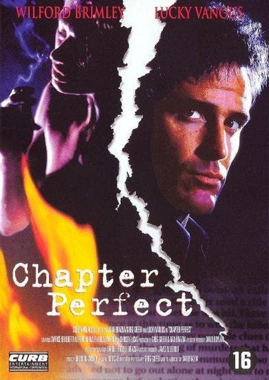 Chapter Perfect (dvd tweedehands film), CD & DVD, DVD | Action, Enlèvement ou Envoi