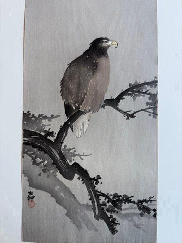 Eagle on a Plum Branch - Ohara Koson (1877-1945) - Japan