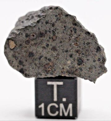 NWA 17750 CK4 koolstofrijke meteoriet Koolhoudende chondrite