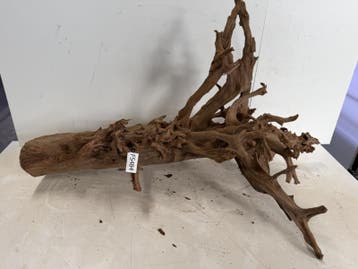 Fine Sinking Wood Selected  FS484  90X60X55cm, Ophalen of Verzenden, Nieuw, Plant(en), Steen of Hout