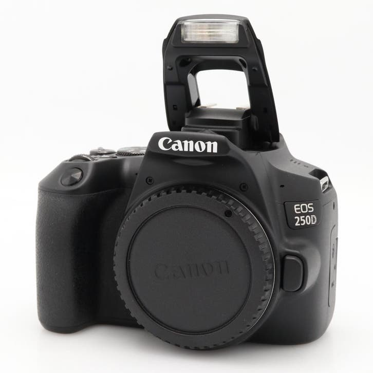 Canon EOS 250D body | Tweedehands, Audio, Tv en Foto, Fotocamera's Digitaal, Zo goed als nieuw, Canon, Verzenden