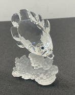 Swarovski - Figurine - Butterfly Fish - 162888 - Cristal