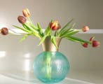 IVV Firenze - Mariana Iskra - Vase - Verre de Murano