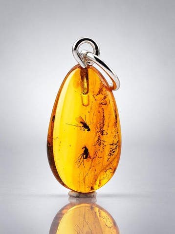 Zeldzame gouden Baltische amberhanger – met bewaarde wesp en