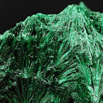 Fleurs de malachite verte primaire pelucheuses, bifaciales