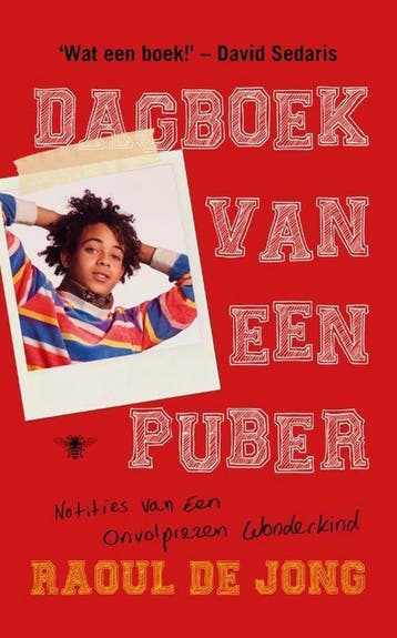Dagboek van een puber 9789403110905 Raoul de Jong, Verzenden, Raoul de Jong