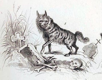 Buffon - Les Quadrupèdes [350 engravings of animals on 44