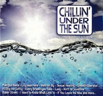Various / Carlos Campos - Chillin Under The Sun (CD, 2014), Verzenden, Gebruikt
