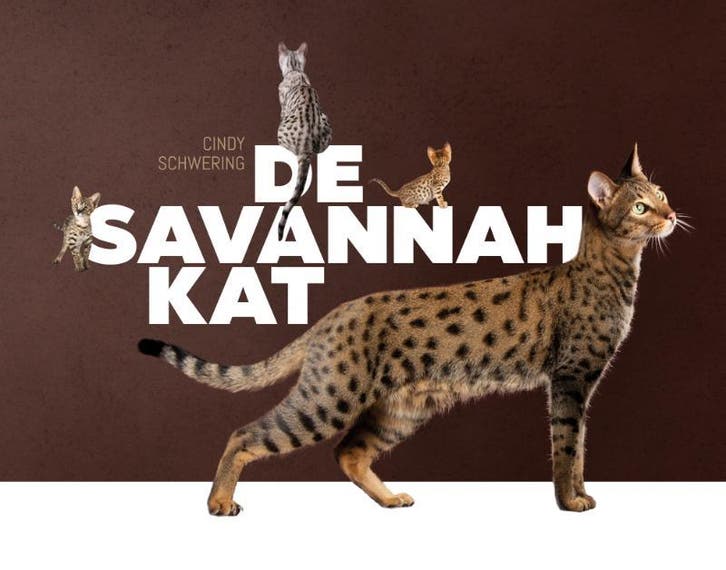 De Savannah Kat | Cindy Schwering | Nieuw, Boeken, Overige Boeken, Nieuw, Verzenden