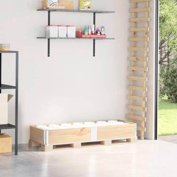 vidaXL Palletopzetrand 150x50 cm massief grenenhout, Verzenden