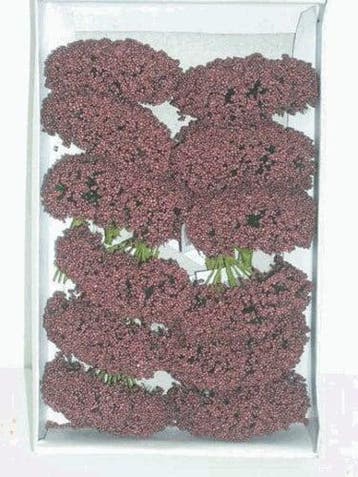 Fieldberries Bordeaux doosje, Nieuw