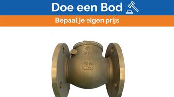Bieden: High-Quality Bronze Swing Check Valve, Ophalen of Verzenden, Nieuw