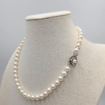 Zonder minimumprijs - Halsketting Zilver Parel - Akoya 8,0mm, Nieuw