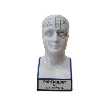 Authentic Models - Buste, Busto Frenológico, Fowler - 29 cm