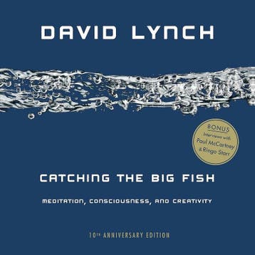 Catching the Big Fish - 10th Anniversary Edition David Lynch, Verzenden, Zo goed als nieuw, David Lynch