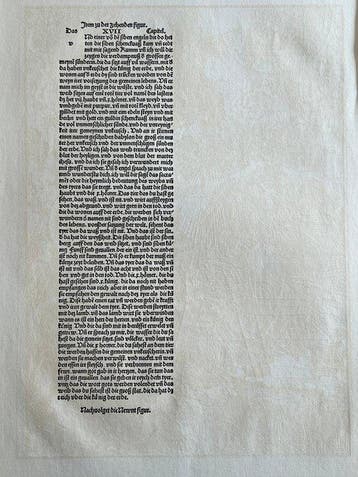 Albrecht Dürer (1471-1528), after - Woodcut - Apocalypsis