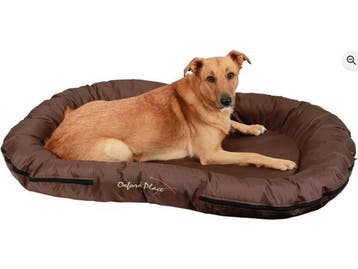Veiling - Hondenkussen Oxford Bruin, Services & Professionnels, Animaux | Chiens | Soins, Dog-sitting & Dressage