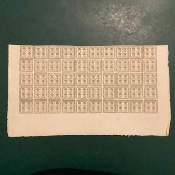 Brunswick 1857 - Wapenschild in half vel met velranden -, Gestempeld