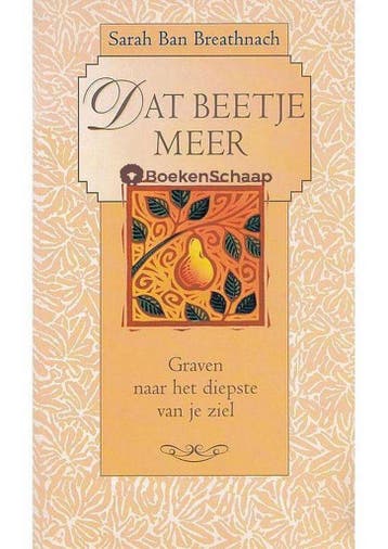 Dat beetje meer 9789022525937 Sarah Ban Breathnach, Boeken, Verzenden, Zo goed als nieuw, Sarah Ban Breathnach