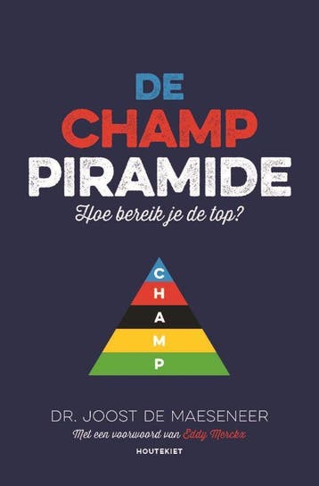 De champ piramide 9789089243317 Joost De Maeseneer, Boeken, Verzenden, Gelezen, Joost De Maeseneer