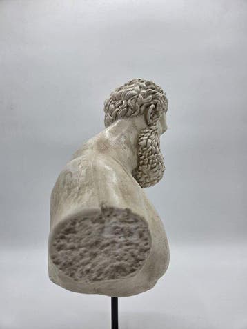 sculptuur, Busto dellercole farnese - 35 cm - marmerpoeder