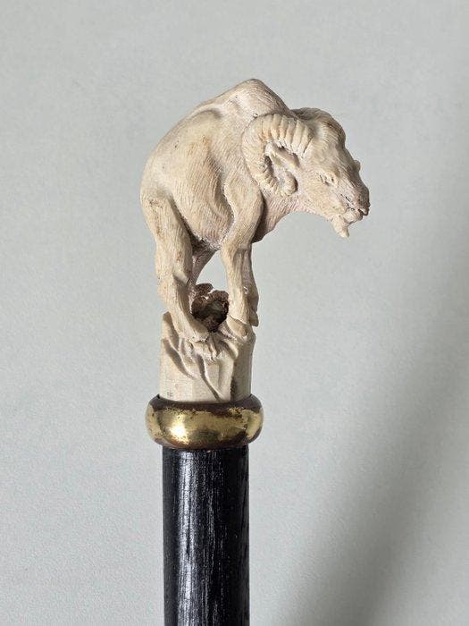 Gedetailleerd Ram - Handsnijwerk Canne de marche - Ramures, Antiquités & Art, Curiosités & Brocante