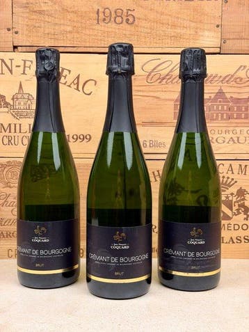 Jean Francois Coquard, Crémant de Bourgogne - Bourgogne Brut, Nieuw