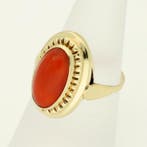 Ring - 14 karaat Geel goud - Bloedkoraal, Nieuw