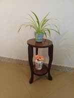 Table à plantes - Chêne - Table dappoint