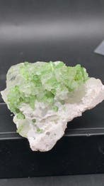 Natuurlijke tourmalijn op kwarts Exemplaar - Hoogte: 61 mm -, Verzamelen, Mineralen en Fossielen