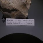 Néolithique Big Flint. 16 cm L. Couteau - 5000 av. J.-C., Collections